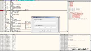 how to find the serial number for any software with Ollydbg [upl. by Spearing946]