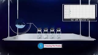 Tofflon Lyophilization [upl. by Turne]