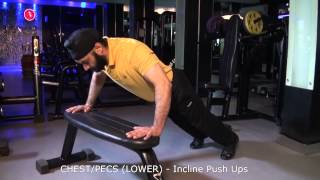 CHESTPECS LOWER  Incline Push Ups [upl. by Viveca]