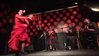 Amazing Flamenco Show in Los Tarantos Barcelona [upl. by Seumas]