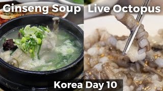 Live Octopus amp Chicken Ginseng Soup Day 10 [upl. by Immas722]