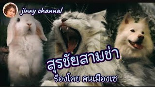 เพลง สุรชัยสามซ่า ร้องโดย คนเมืองเซ [upl. by Aynas]