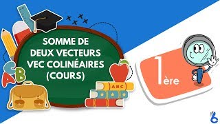 Maths 1ère année lycée maths Somme de deux vecteurs  Vecteurs colinéairescours [upl. by Ainoval]