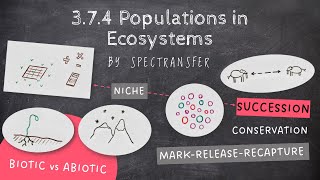 EASY REVISION AQA ALevel Biology 374 Populations in Ecosystems [upl. by Hemminger717]