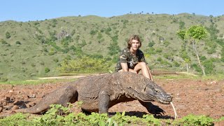 Surviving 24 Hours on KOMODO ISLAND Challenge Komodo Dragon [upl. by Hadsall]