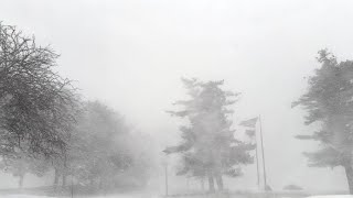 Wild Massachusetts Thundersnow and Snow Squalls  11423 [upl. by Emearg]