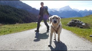 Wandern mit Hund [upl. by Onivag]