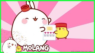 Molang  The Hotel  Season 1 Episodes [upl. by Lleirbag]