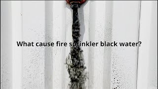 The Dark Truth Behind Fire Sprinkler Water [upl. by Joanie]