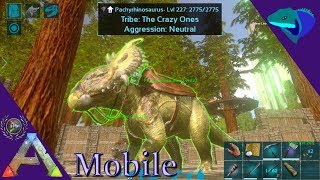 MAX LEVEL PACHYRHINO TAMING ATTACK SPEED AND SMOKESCREEN ARK Mobile S1E52 [upl. by Casta]