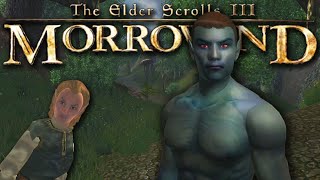 Morrowind but its Oblivion [upl. by Eward828]