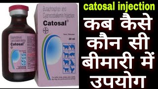 Catosal injection uses in hindi कटसल इंजेक्शन का उपयोग [upl. by Ettecul602]