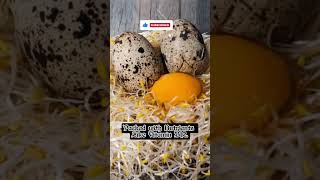 Quail Eggs steaktips steakrecipes foodie steak steakcooking steakdinner food cookingsteak [upl. by Sang]