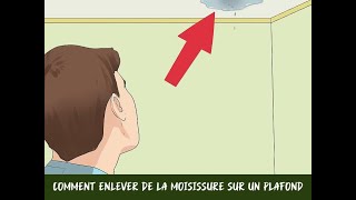 Comment enlever de la moisissure sur un plafond [upl. by Llerrej]