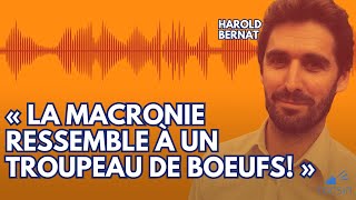 Entretien explosif  Harold Bernat détruit la Macronie sur le fond et sur la forme [upl. by Akitahs]