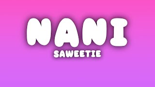 Saweetie  NANi Lyrics [upl. by Nell906]