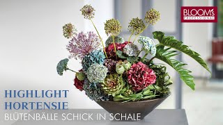 Highlight Hortensie Blütenbälle schick in Schale  nachhaltige Steckbasis  BLOOMs Floristik [upl. by Tamiko]