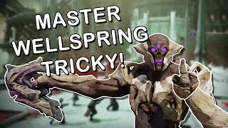 Master Wellspring is MENTAL  Destiny 2 [upl. by Sarat]