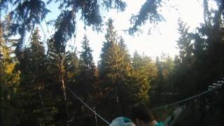 Zipline  Park Ochsenkopf [upl. by Nahgeem47]