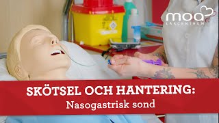 Skötsel och hantering  Nasogastrisk sond [upl. by Leay]