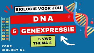 5 vwo  DNA  5  Genexpressie [upl. by Annim]