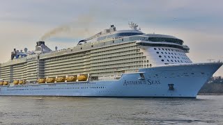 The HIGHLIGHTS from our Royal Caribbean Anthem of the Seas cruise [upl. by Alarice]