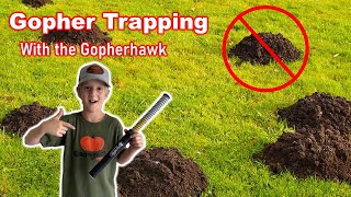 Gopher Trapping With The Gopherhawk Includes Catch [upl. by Htinnek]