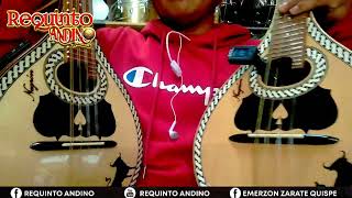 COMO AFINAR MANDOLINA PERUANA⁉️  MANDOLINAS NEGRON EN VENTA  918294623 MANDOLINA [upl. by Uhthna]