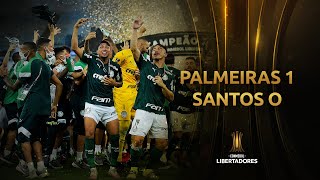 Melhores Momentos  Palmeiras 1x0 Santos  Libertadores 2020 [upl. by Thar]