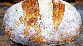 Crusty NoKnead Artisan Bread  How to make noknead bread [upl. by Meredi70]