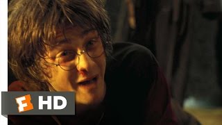 Hes Back  Harry Potter and the Goblet of Fire 55 Movie CLIP 2005 HD [upl. by Yelsgnik955]