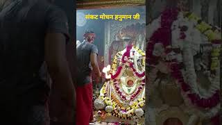 श्रृंगार आरती दर्शन श्री हनुमान गढ़ी अयोध्या ayodhya shorts youtubeshorts viral tranding [upl. by Nazarius]