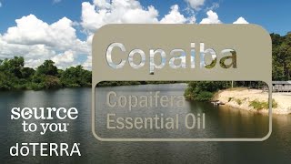 doTERRA Copaiba Essential Oil [upl. by Aimo]