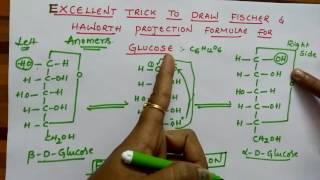 Fischer amp Haworth projection formulae for Glucose Biomolecules class 12 chemistry [upl. by Sidoon418]