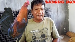 Husay ng Isang Handler ng Manok [upl. by Patricia760]