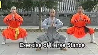 Shaolin Kung Fu basic moves [upl. by Humph]