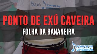 Ponto de Exú Caveira  Folha da bananeira  Tião Casemiro [upl. by Ddat]