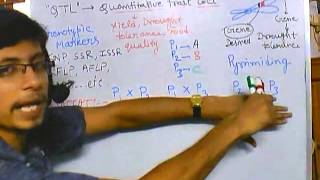 Plant breeding using genotypic markers marker assisted selection [upl. by Norrahs950]