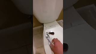 How To Tighten A Loose Toilet Seat you can use your fingers shorts [upl. by Pacificas]