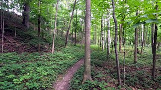 Late Summer Hike  Christa McAuliffe Park Aug 10 2024 [upl. by Shererd253]