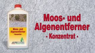 Moos und Algenentferner Anwendung zB Gehwegplatten Terrassenplatten reinigen [upl. by Eetnahs]