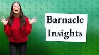 What are 4 facts about barnacles [upl. by Enelec]