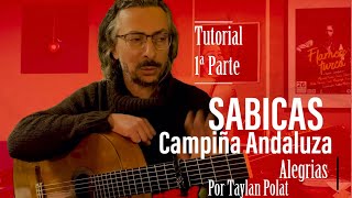 Campiña Andaluza  SABICAS  Alegrías Tutorial VERSIÓN LENTA 1º Parte by Taylan Polat [upl. by Rosol]