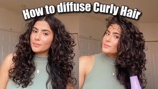 How I Diffuse Curly Hair [upl. by Nedra224]