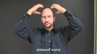 Name Signs  ASL and Deaf Culture [upl. by Eibreh]