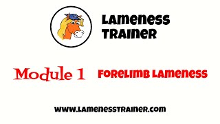 Lameness Trainer Module 1 Forelimb Lameness [upl. by Flavio]