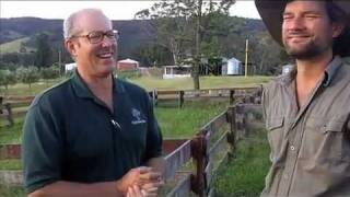 Milkwood Joel Salatin on debt free farming [upl. by Llednil]