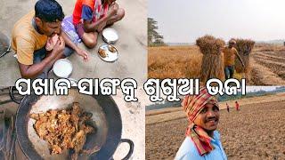 ପଖାଳ ଭାତକୁ ଶୁଖୁଆ ଭଜା 🤪 l ବୁଦ୍ଧିଆ ଭାଇଙ୍କ ନୂଆ ଫର୍ମୁଲା 🤔 l Gouranga nayak Odia vlogs l Sukhua Bhaja [upl. by Sidky]