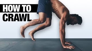 Beginners Ground Movement Crawling Basics Routine [upl. by Ahrens]