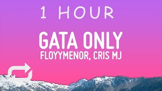 FloyyMenor  GATA ONLY ft Cris MJ LetraLyrics  1 hour [upl. by Kristien]